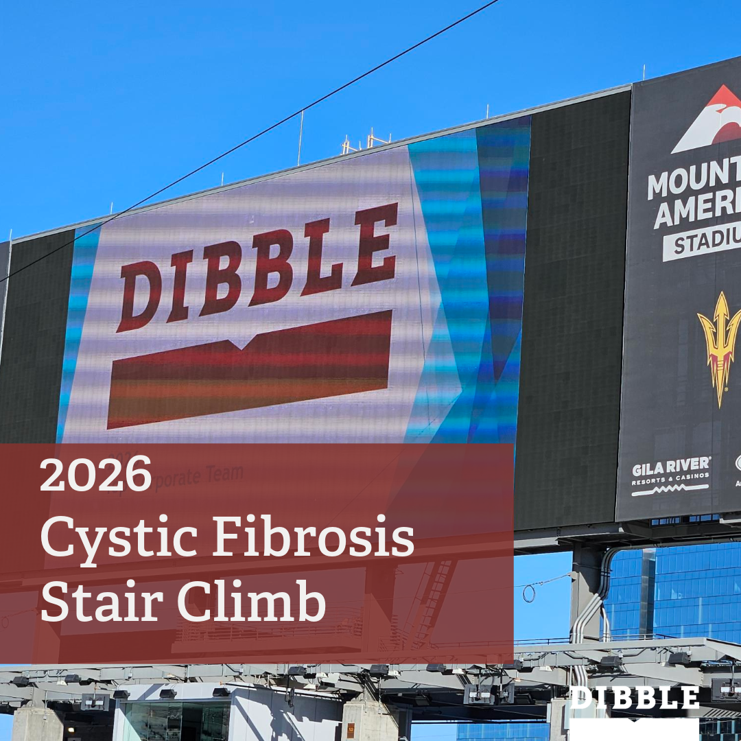Climbing for Causes - Dibble